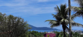 Refúgio dos gatos Ubatuba